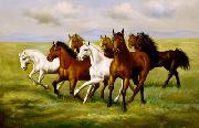 unknow artist Horses 025 Spain oil painting artist